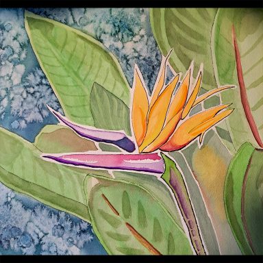 Bird of Paradise