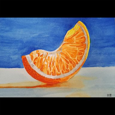Orange Slice
